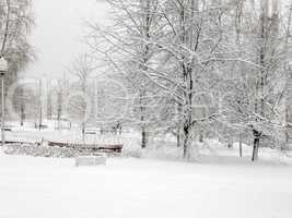 city park after snowfall at day