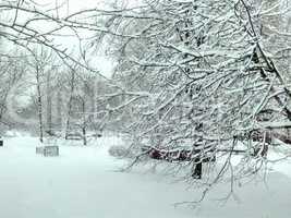 city park after snowfall at day