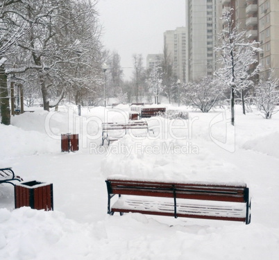 city park after snowfall at day