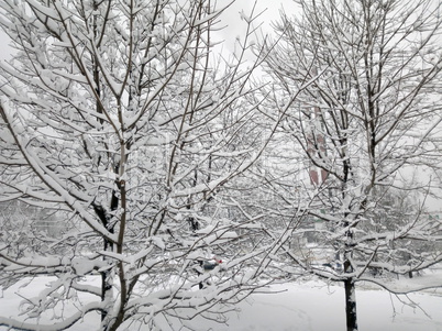 city park after snowfall at day