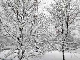 city park after snowfall at day