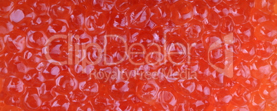 red caviar at day