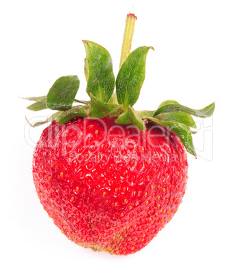 one raw red Strawberry one raw red Strawberry