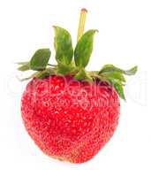 one raw red Strawberry