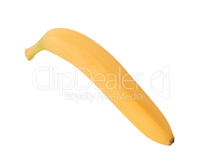 raw Yellow Banana Isolated