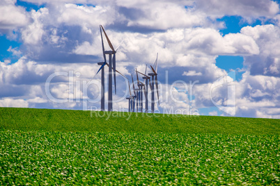 Windfarm In Eastern Oregon