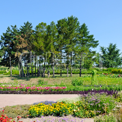 Summer park with beautiful flower beds.