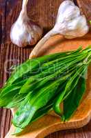 fresh and tasty wild garlic