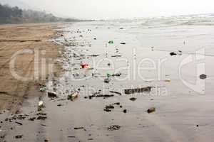 Beach with Garbage