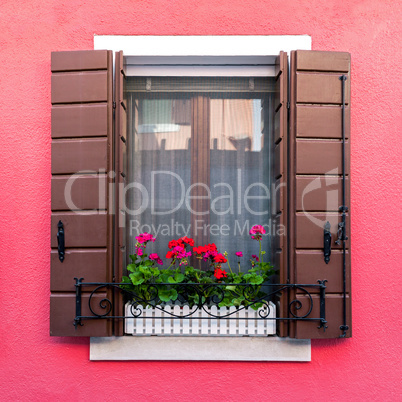 Colorful residential window with blooming flowers in Burano