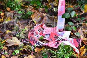crime scene, police striped tape wrapped around trees in forest