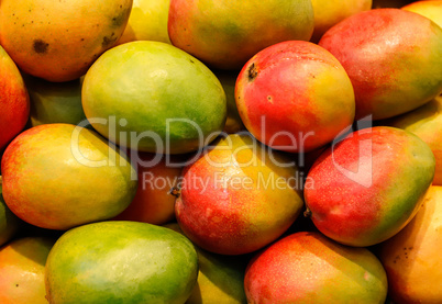lot of red fresh mango fruits