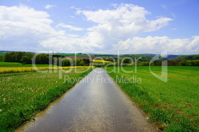 Frühlingslandschaft mit Weg