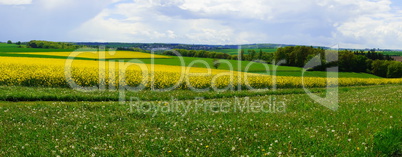 Hunsrück Panorama