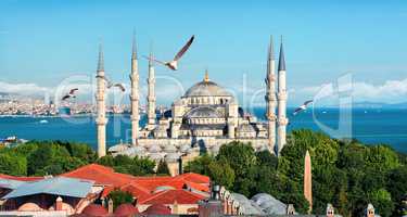 Blue Mosque in Turkey