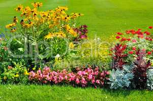 Summer flower bed and green lawn.