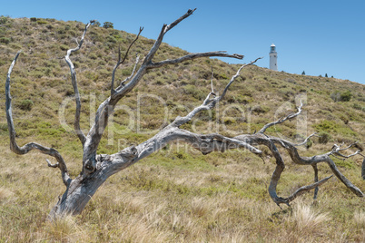Landschaft von Rottnest Island, Western Australia