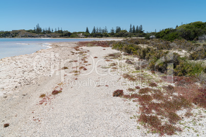 Salzseen auf Rottnest Island, Western Australia