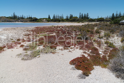 Salzseen auf Rottnest Island, Western Australia