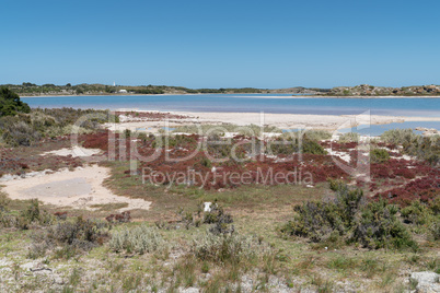 Salzseen auf Rottnest Island, Western Australia