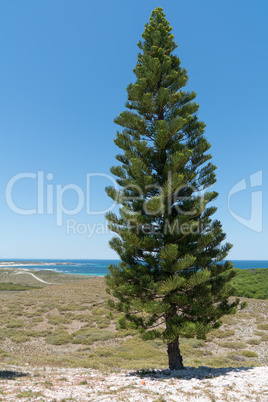 Landschaft von Rottnest Island, Western Australia