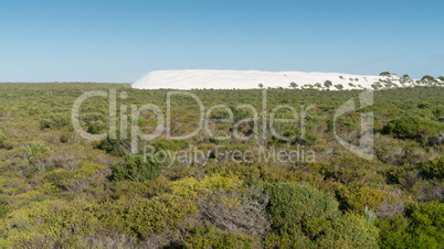 Landschaft im Nambung National Park, Western Australia