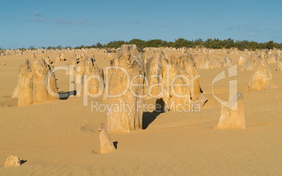 Nambung National Park, Western Australia