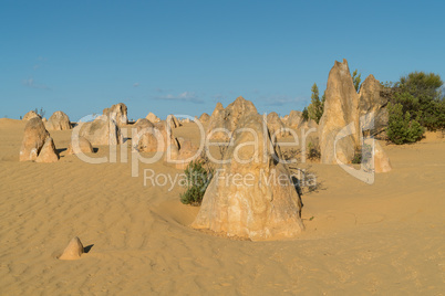 Nambung National Park, Western Australia