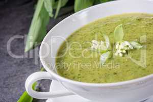 green wild garlic soup