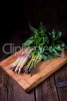 Bear's garlic with white and green asparagus