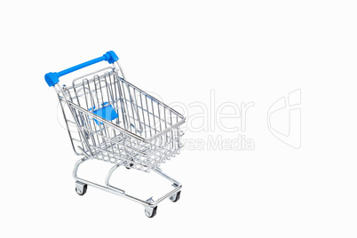 Shopping cart