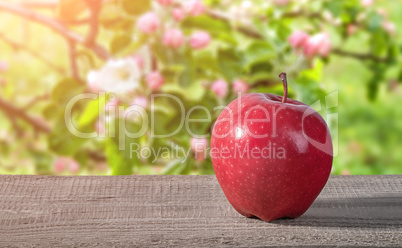 Red apple on a wooden table