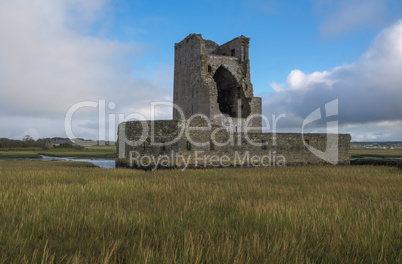 Tower house of Carrigafoyle castle