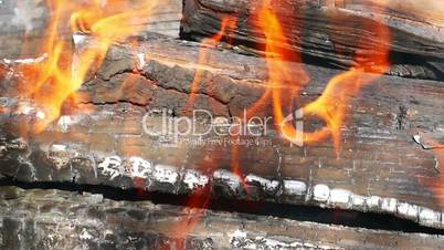 Firewood burning in a metal tray
