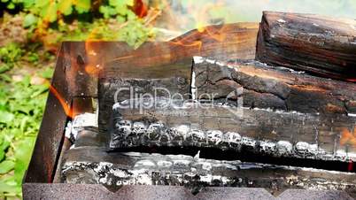 Firewood burning in a metal tray