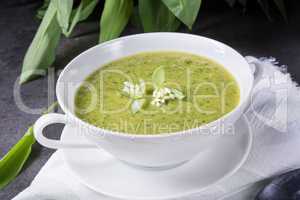 green wild garlic soup