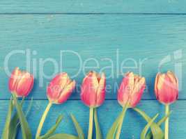 Beautiful tulips, springtime background