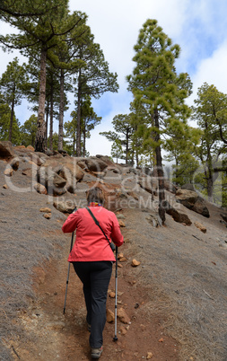 Am Pico Bejenado, La Palma