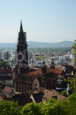 Freiburger Münster