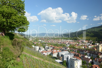 Freiburg im Breisgau