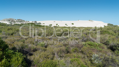 Landschaft im Nambung National Park, Western Australia