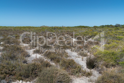 Nambung National Park, Western Australia