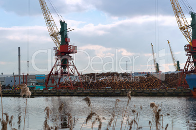sea port, port cranes, gantry crane, transportation of timber by sea