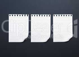three blank white paper sheets torn from a notepad
