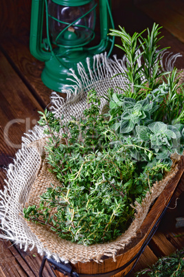 Herbal collection of: thyme,oregano, rosemary