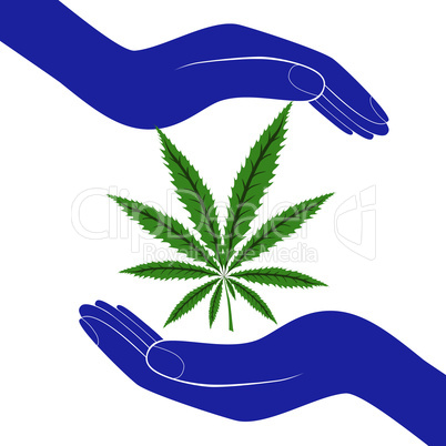 Hand palms with marijuana leaf glyph color icon. Silhouette symbol. Legalization of marihuana. Negative space. Vector isolated illustration