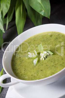 green wild garlic soup