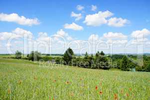 Eifel im Frühling