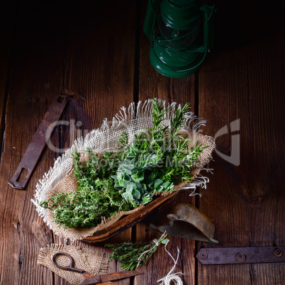 Herbal collection of: thyme,oregano, rosemary