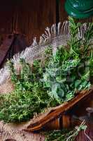 Herbal collection of: thyme,oregano, rosemary